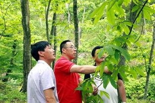 浙农林夏婧茹视频吃瓜,校园生活趣味横生