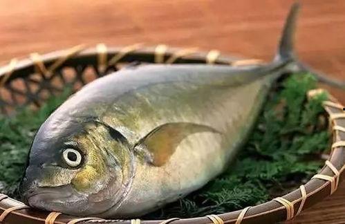 恶俗吃鱼吃瓜视频,网络恶搞背后的文化现象