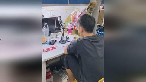 男子婚前吃瓜视频,揭秘男子神秘吃瓜视频背后的故事