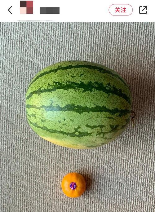 全球热门吃瓜视频,笑料百出，揭秘娱乐圈幕后趣闻