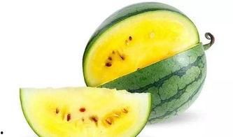 枝江瓜怎么吃最好吃视频,视频揭秘最佳食用方法