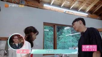 郑爽张恒吃瓜视频,吃瓜视频揭露惊人内幕