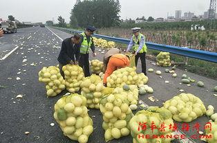 福建吃瓜群众台湾视频,台湾视频背后的故事与启示