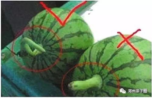 扇巴掌的视频吃瓜什么原因,揭秘背后原因