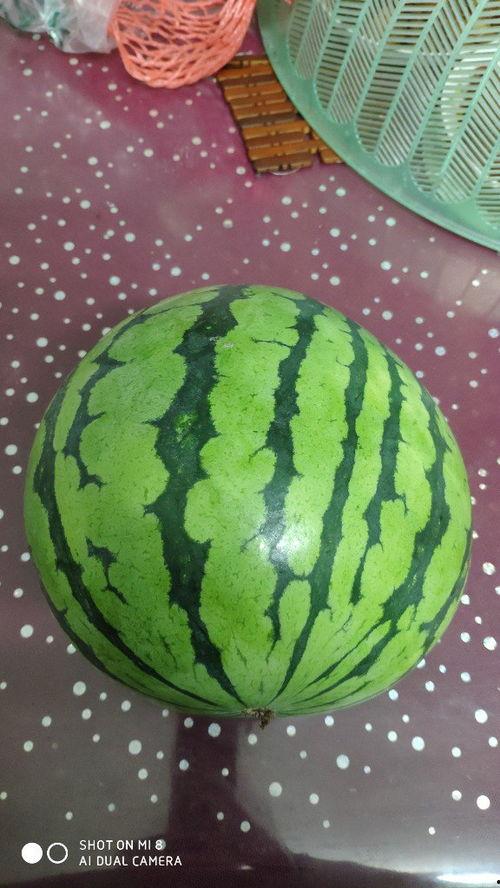 西瓜视频吃大瓜,吃大瓜背后的故事与真相