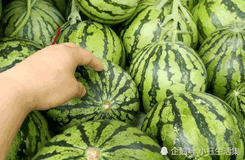 西瓜视频吃大瓜,吃大瓜背后的故事与真相