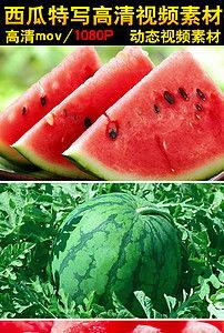 吃瓜视频大全完整观看免费,免费畅享海量精彩瞬间