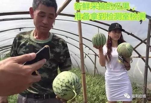 信阳吃瓜群众直播视频