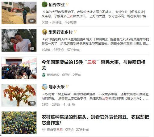 三农视频吃瓜,揭秘农村生活的趣味瞬间
