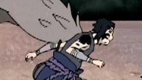 阿飞与大鹅吃瓜视频,阿飞与大鹅的欢乐吃瓜时光