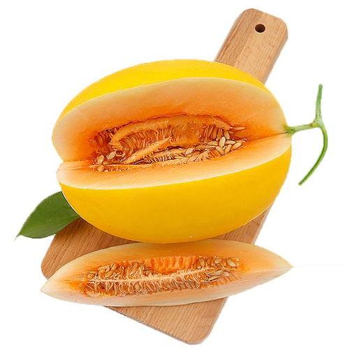 吃蜜瓜会中毒吗视频