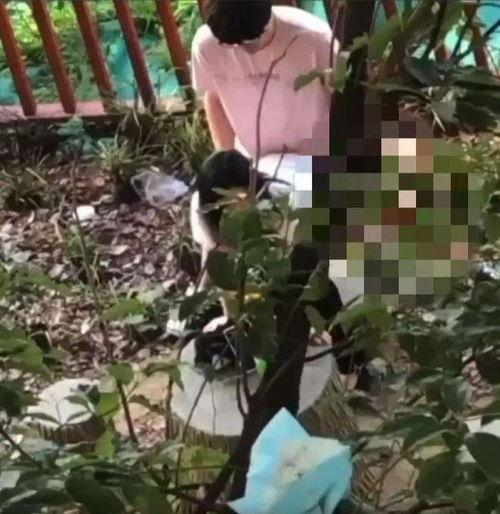 深圳飞盘吃瓜事件视频,一场社交运动引发的争议与反思