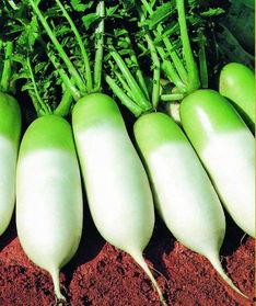 老蛋白直播吃瓜视频,揭秘娱乐圈幕后真相