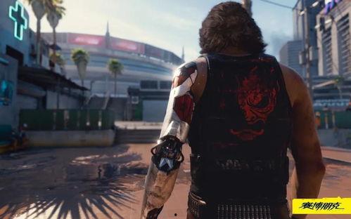 吃瓜第一人称博主视频,一场视觉盛宴的幕后故事