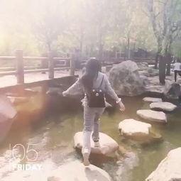 大魔王视频吃瓜合集,揭秘娱乐圈幕后风云