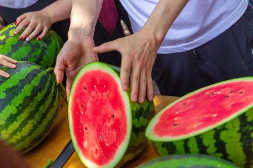 武汉高校吃瓜视频,校园生活趣味瞬间大揭秘