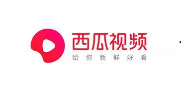 吃瓜视频logo,LOGO背后的故事与品牌魅力