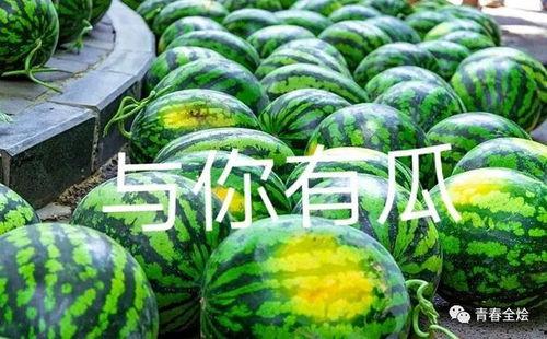 西林大学吃瓜原视频,一场校园风云录