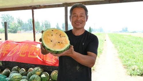 博州最新吃瓜事件视频