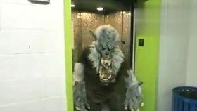 吃羊角瓜搞笑视频在线观看,笑料横生，欢乐无限