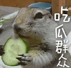 虎子吃瓜视频完整版