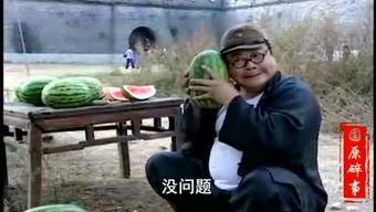 吃瓜现场笑死人视频,笑料横生！吃瓜现场视频爆笑全场