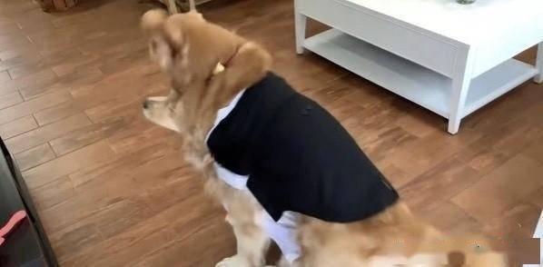 搜索狗吃瓜视频网站,揭秘热门视频网站背后的趣味故事