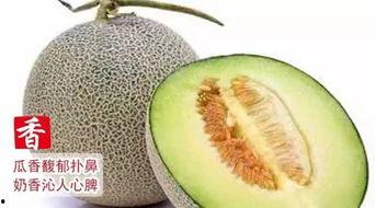 搞笑带货视频吃蜜瓜,笑果满满，带货不停！