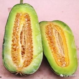 搞笑带货视频吃蜜瓜,笑果满满，带货不停！