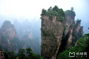 哪里能看张家界吃瓜视频,网红吃瓜视频背后的美食之旅