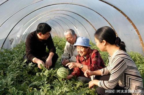 新疆库尔勒吃瓜事件视频