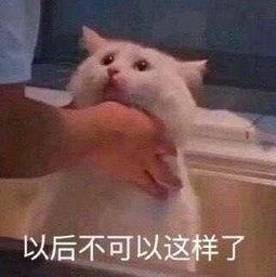 朝阳群众吃瓜在线播放视频,揭秘都市生活百态