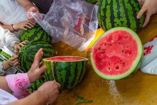 南昌吃瓜视频,揭秘当地美食与趣闻