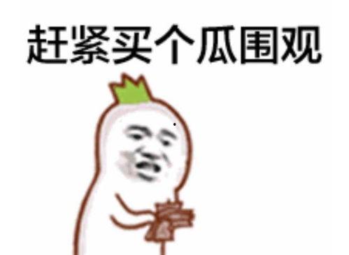 吃瓜群众现场分手视频大全,吃瓜群众捕捉到的分手视频大全