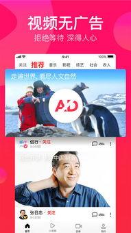 吃瓜文字视频下载免费观看