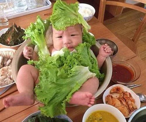 三宝爸吃瓜视频大全