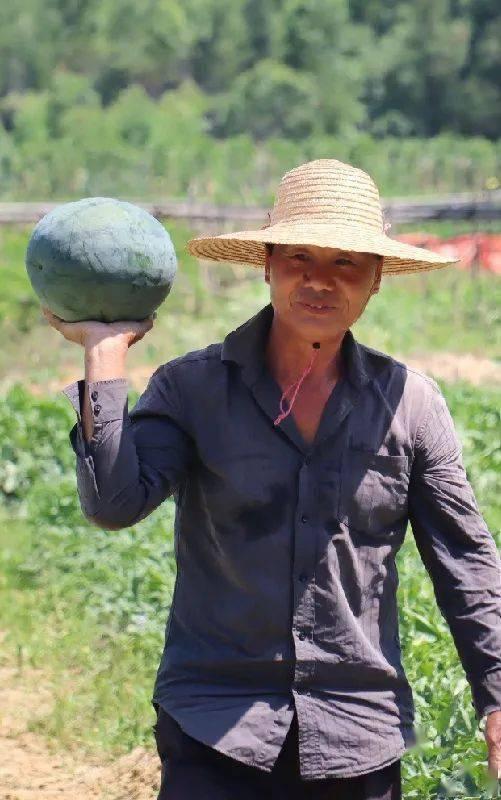 合拍吃瓜群众大集合视频,揭秘热门视频背后的趣味瞬间