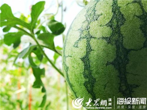 森林防火原创视频吃瓜