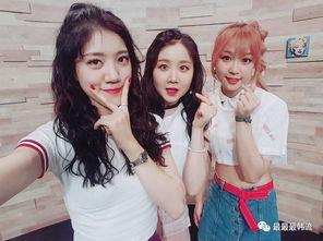 吃瓜小熊女团视频,萌态百出，欢乐无限