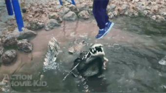 鳄鱼吃瓜了的视频,一场意想不到的动物美食秀