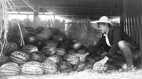 襄城吃瓜群众事件视频曝光,视频曝光揭示惊人真相