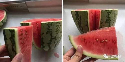 吃假瓜视频,吃假瓜视频引发的食品安全思考