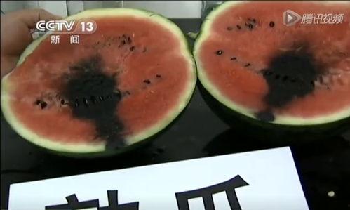 吃假瓜视频,吃假瓜视频引发的食品安全思考
