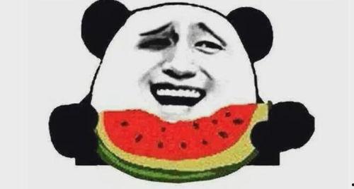 打脸吃瓜群众笑哭视频,笑哭瞬间！