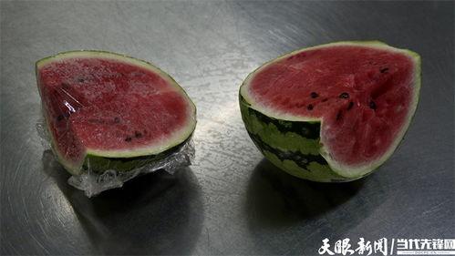 吃瓜吃出细菌怎么办视频,如何应对瓜果中的潜在健康隐患