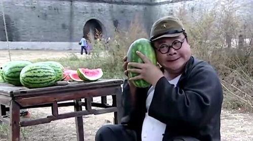 我们的翻译官吃瓜视频,揭秘幕后花絮与趣味瞬间