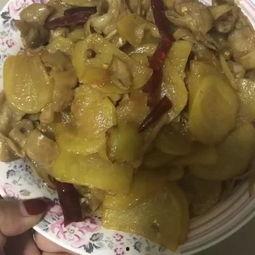 吃瓜主播美食视频,跟随吃瓜主播探索味蕾之旅