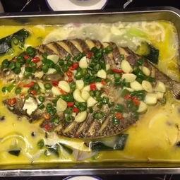 吃瓜主播美食视频,跟随吃瓜主播探索味蕾之旅