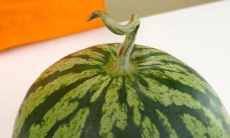 霸州吃瓜视频,揭秘当地生活百态