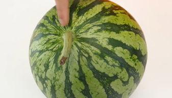 霸州吃瓜视频,揭秘当地生活百态